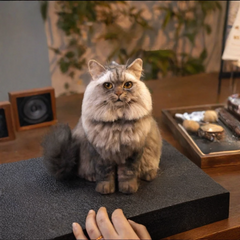 Custom 3D Pet Wool Felt Portraits | Handmade Pet Memorial Gifts