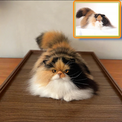 Custom 3D Pet Wool Felt Portraits | Handmade Pet Memorial Gifts