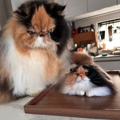 Custom 3D Pet Wool Felt Portraits | Handmade Pet Memorial Gifts