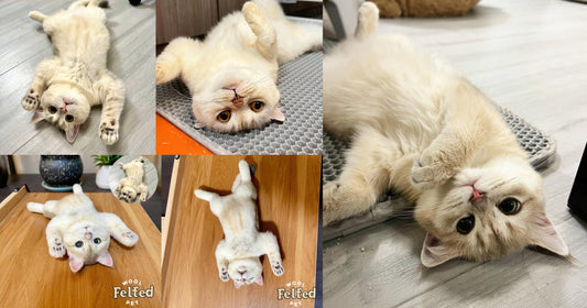 Half a Year of Pure Love — How a Custom Wool Felted Portrait Keeps Butter's Memory Alive Forever