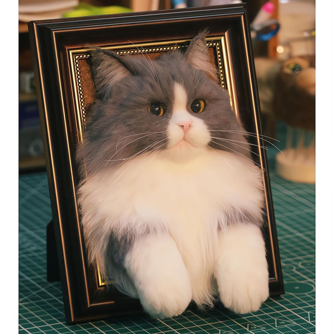 Woolfeltedpet