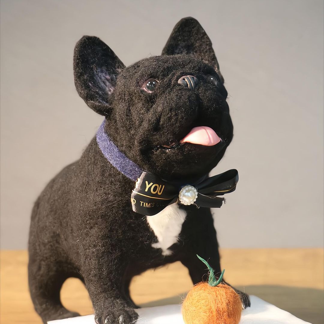 Woolfeltedpet