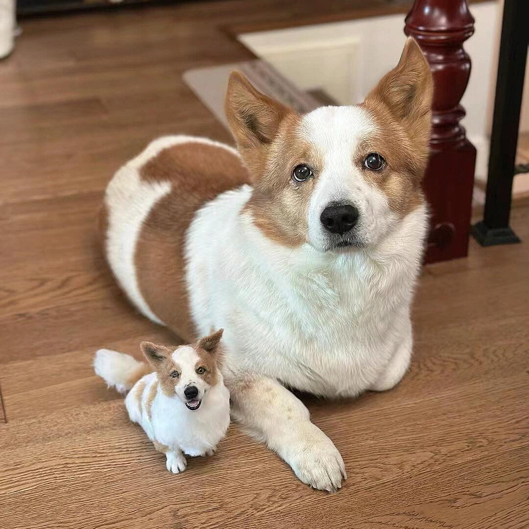 Custom Full Body Figurine Needle Felted Pet | Handmade Pet Memorial Gifts