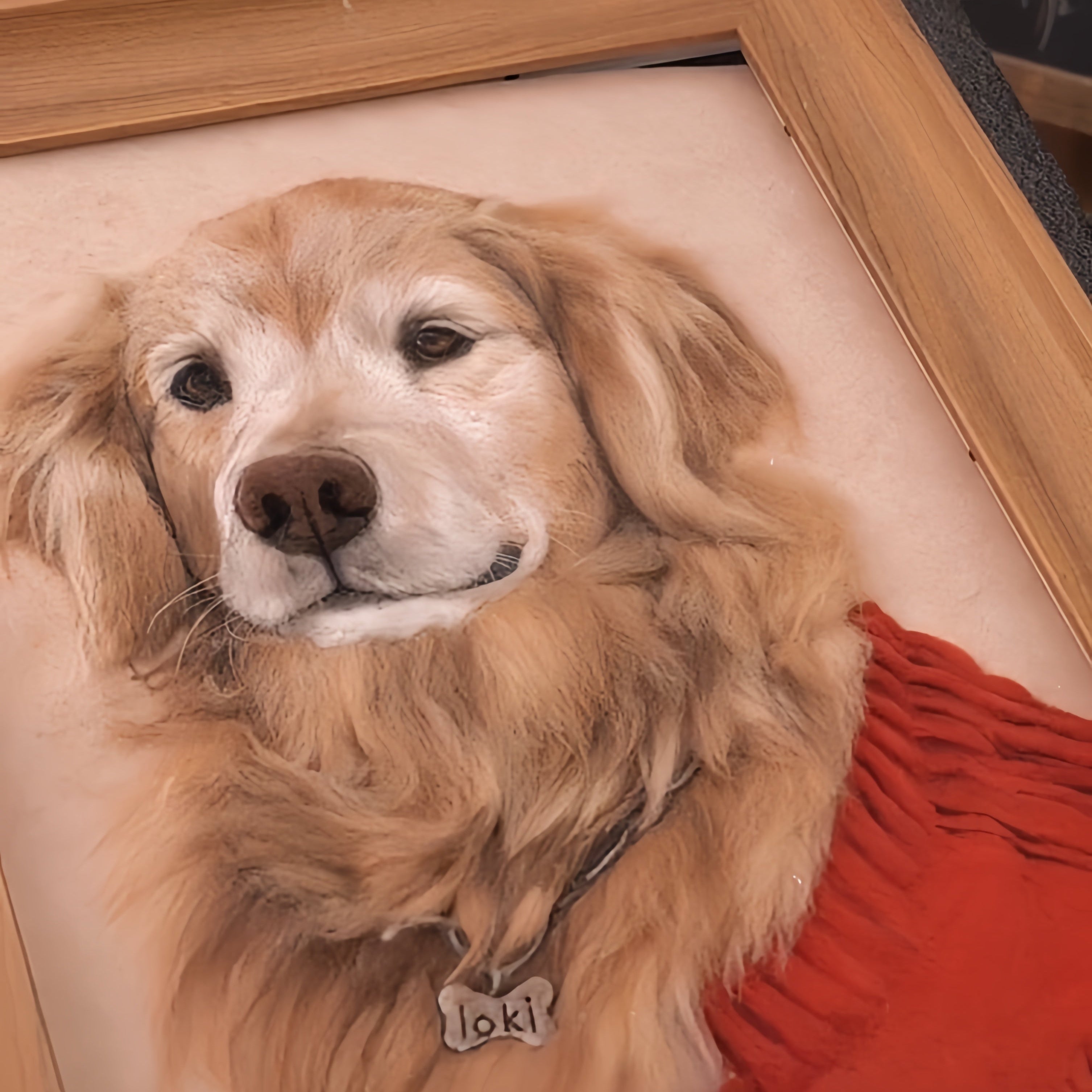 Custom Needle Felted pet photo frame portrait | Handmade Memorial Gifts for Pet Lovers