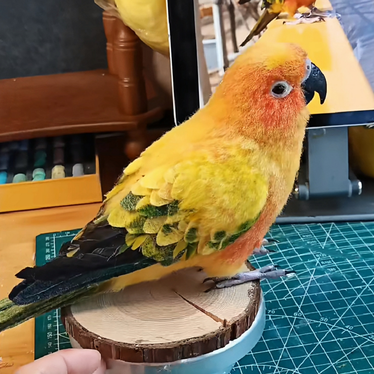 Needle Felted Parrot Bird Replica | Handmade 3D Full Body Wool Sculpture