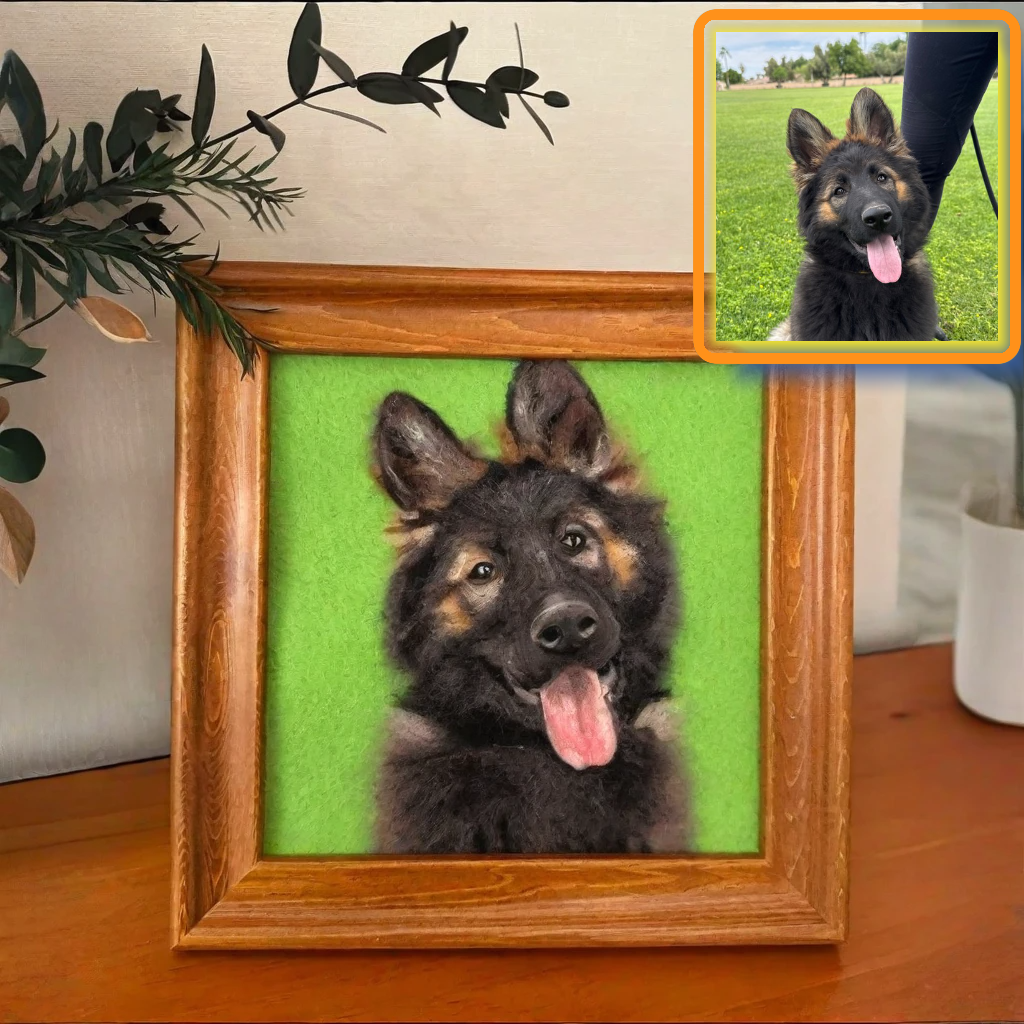 Woolfeltedpet